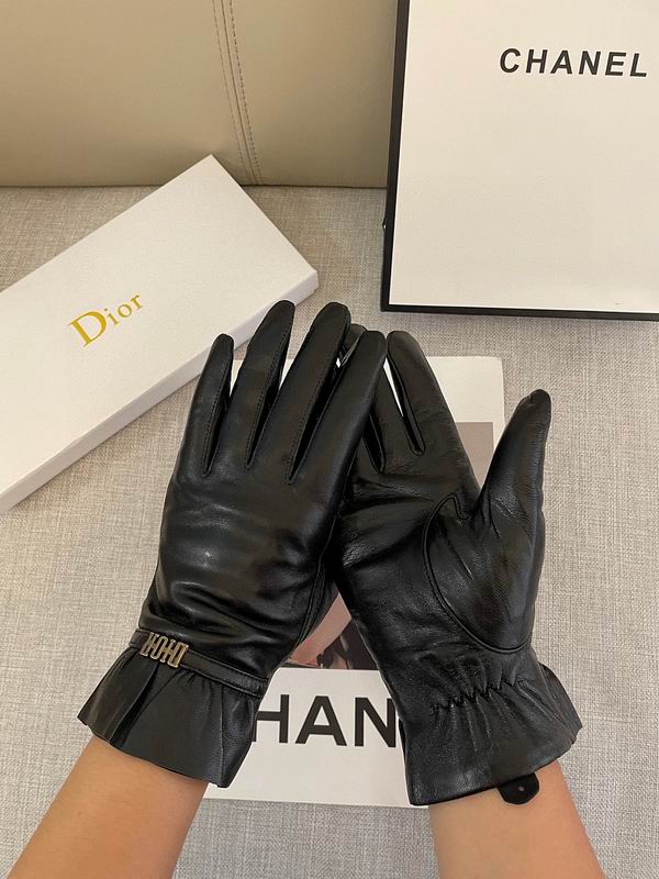 Dior gloves hm13